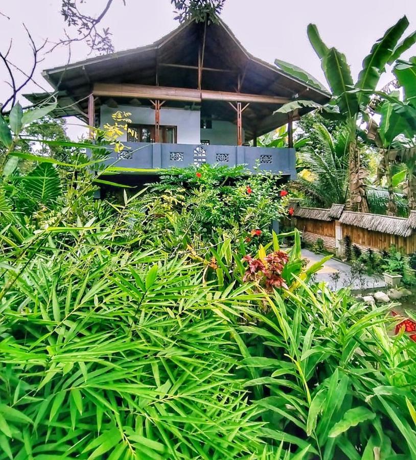 Sumatra Orangutan Discovery Villa Bukit Lawang Buitenkant foto