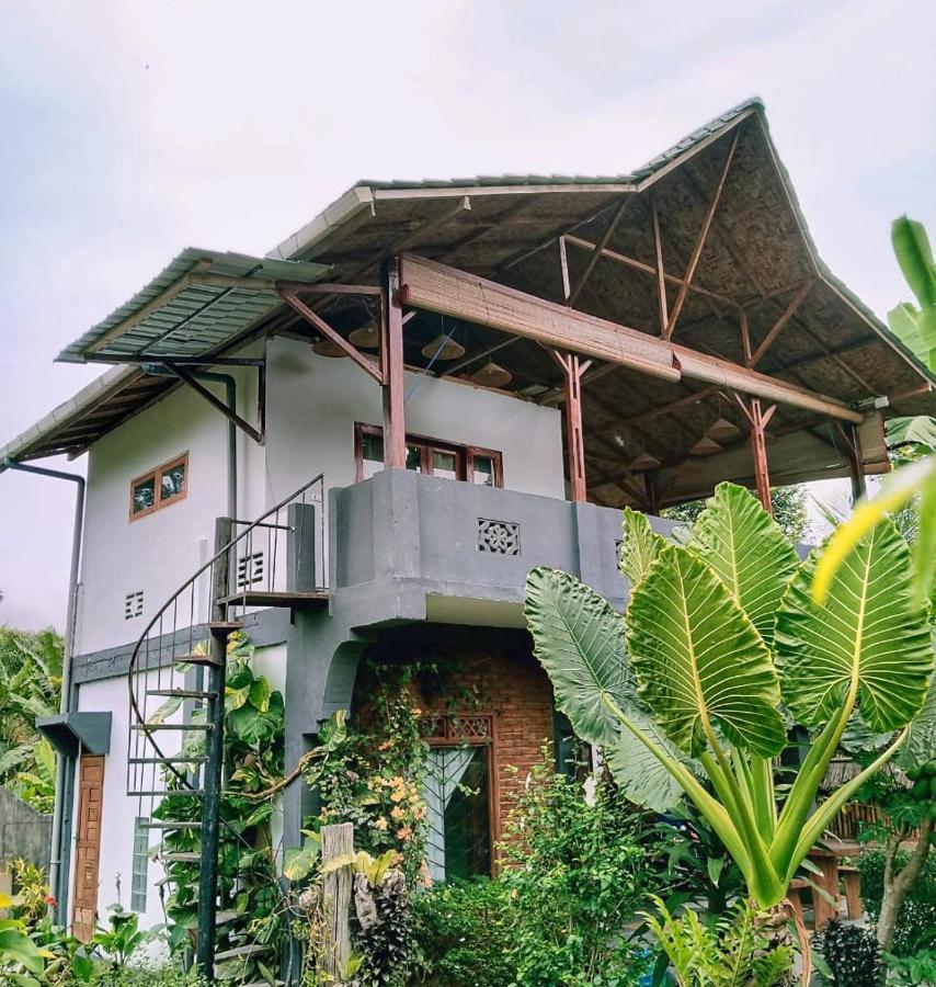 Sumatra Orangutan Discovery Villa Bukit Lawang Buitenkant foto