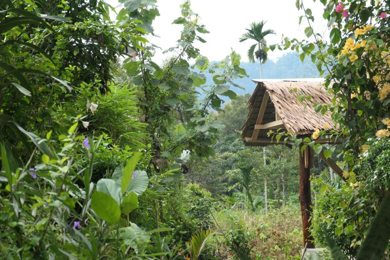 Sumatra Orangutan Discovery Villa Bukit Lawang Buitenkant foto