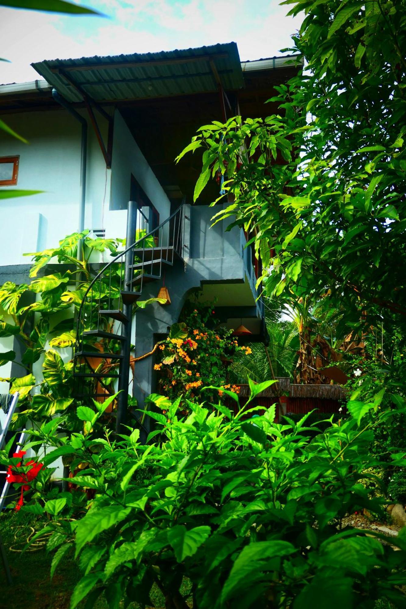 Sumatra Orangutan Discovery Villa Bukit Lawang Kamer foto